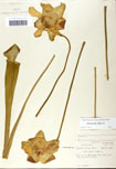 000058461-thumbnail.jpg