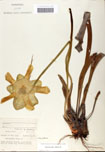 000058462-thumbnail.jpg