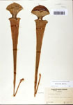 000058463-thumbnail.jpg