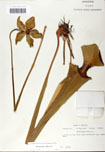 000058464-thumbnail.jpg