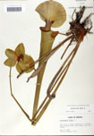 000058466-thumbnail.jpg