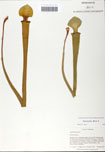 000058467-thumbnail.jpg