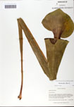 000058469-thumbnail.jpg