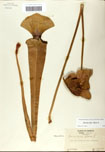 000058470-thumbnail.jpg
