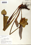 000058471-thumbnail.jpg
