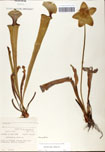 000058472-thumbnail.jpg