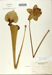 000058473-thumbnail.jpg