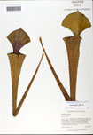 000058474-thumbnail.jpg