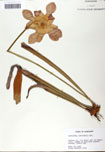 000058476-thumbnail.jpg