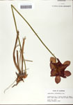 000058477-thumbnail.jpg