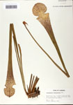 000058479-thumbnail.jpg