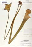 000058480-thumbnail.jpg