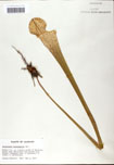000058482-thumbnail.jpg