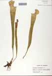 000058484-thumbnail.jpg