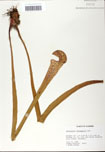 000058485-thumbnail.jpg