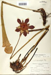 000058486-thumbnail.jpg