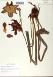 000058487-thumbnail.jpg