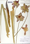 000058489-thumbnail.jpg