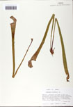 000058490-thumbnail.jpg