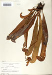 000058500-thumbnail.jpg