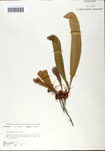000058502-thumbnail.jpg