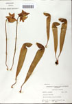 000058503-thumbnail.jpg