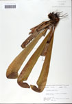 000058504-thumbnail.jpg