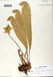 000058505-thumbnail.jpg