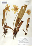 000058506-thumbnail.jpg