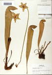 000058507-thumbnail.jpg