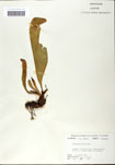 000058510-thumbnail.jpg