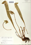 000058511-thumbnail.jpg