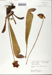 000058512-thumbnail.jpg