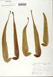 000058513-thumbnail.jpg