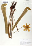 000058514-thumbnail.jpg