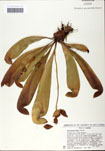 000058516-thumbnail.jpg