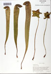000058517-thumbnail.jpg