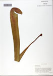 000058518-thumbnail.jpg