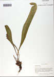 000058519-thumbnail.jpg