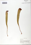 000058520-thumbnail.jpg