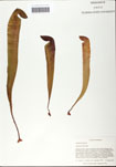 000058521-thumbnail.jpg