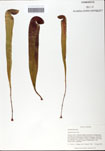 000058522-thumbnail.jpg