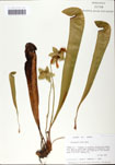 000058523-thumbnail.jpg