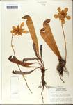 000058524-thumbnail.jpg
