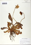 000058527-thumbnail.jpg