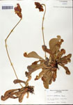 000058531-thumbnail.jpg