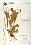 000058532-thumbnail.jpg