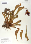 000058533-thumbnail.jpg