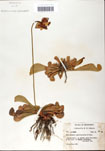 000058534-thumbnail.jpg