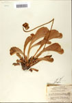 000058535-thumbnail.jpg